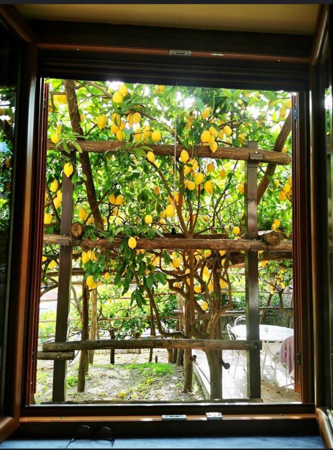 Apartamento Il Limoneto Di Teresa Amalfi Coast Maiori Exterior foto