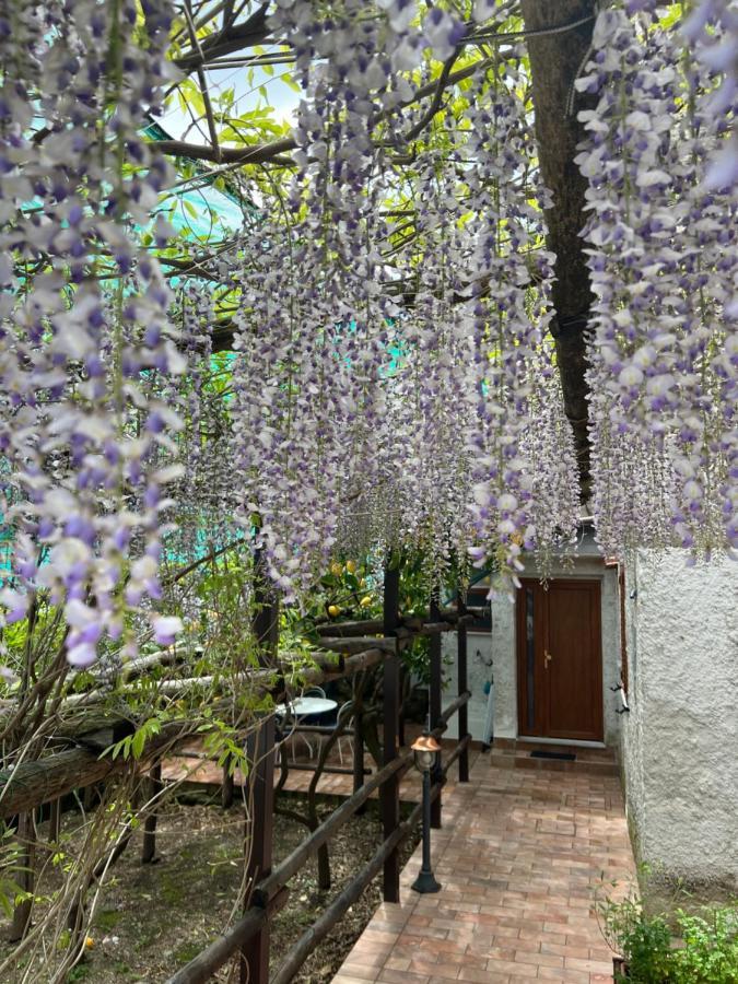 Apartamento Il Limoneto Di Teresa Amalfi Coast Maiori Exterior foto