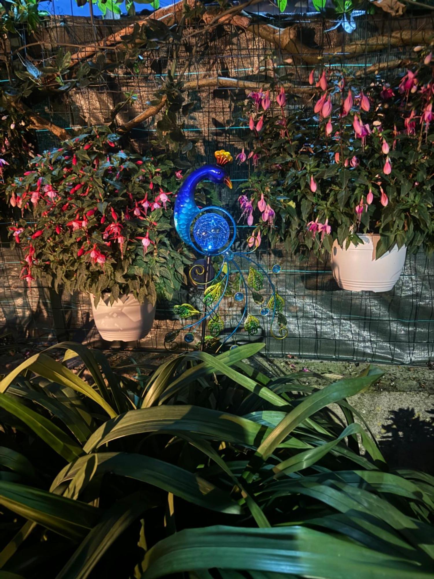 Apartamento Il Limoneto Di Teresa Amalfi Coast Maiori Exterior foto