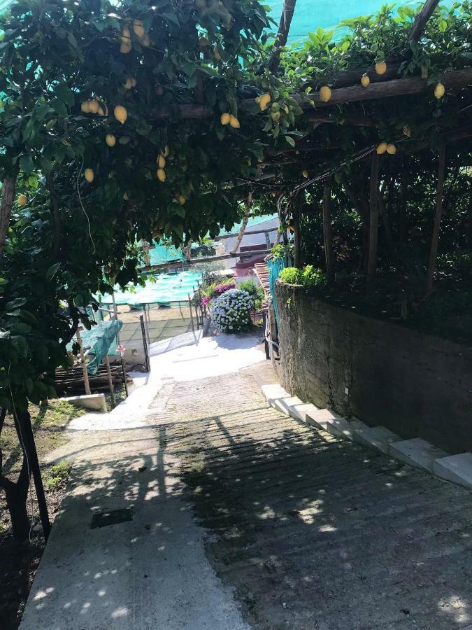Apartamento Il Limoneto Di Teresa Amalfi Coast Maiori Exterior foto