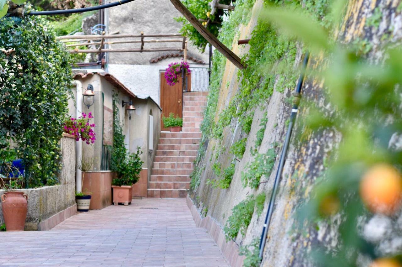Apartamento Il Limoneto Di Teresa Amalfi Coast Maiori Exterior foto